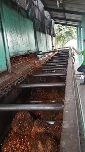 Buka tutup pintu loading ramp untuk menuang TBS di FFB untuk dikirimkan ke sterilizer vertikal. • • #Fyp_tayangan #Fyp_jangkauan #Fbpro #Reels_viral #Loading_ramp #Pmks | Ruliadi Saragih