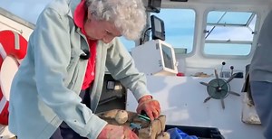 Meet Maine's Oldest Lobster Lady Who Is Still Working At 104