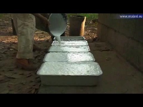 The Elastic Forest - (making of natural rubber)