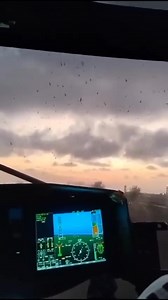 Bat strike 🦇 | Helicopter Safety