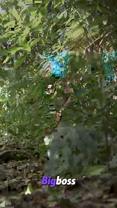 Amazing podcast show 😛😂🤣 #Podcast #Podcasting #TalkShow #Interviews #Conversations #Discussion #News #Entertainment #Guests #Storytelling #Education #Inspiration #Comedy #Culture #CurrentEvent #tvshow #tvseries #tv | Mointv show