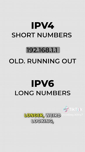 Understanding IP Addresses with a Feline Twist