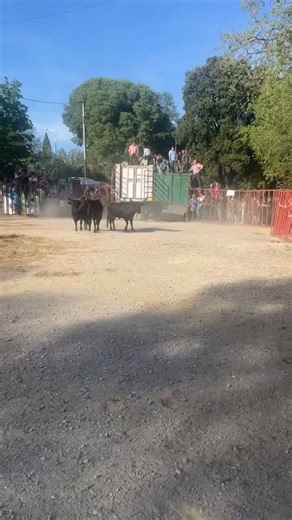 169K views · 1.4K reactions | PAÏS DI BIOU on Reels | Facebook