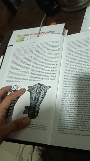 La anatomía del aparato genital se refiere al conjunto de órganos que permiten la reproducción sexual y están relacionados con las funciones hormonales y reproductivas. Se divide en aparato genital masculino y aparato genital femenino. --- 🩸 Aparato genital femenino Función principal: producir óvulos, permitir la fecundación y el desarrollo del embrión, además de secretar hormonas sexuales (estrógenos y progesterona). Órganos internos: 1. Ovarios: producen los óvulos y las hormonas femeninas. 2