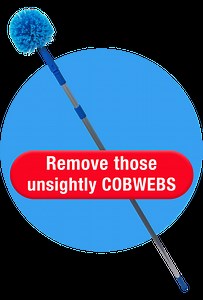 Miss Muffet’s Revenge: Spider Control