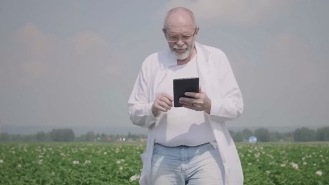 The Industrial Magic Behind Pringles – How They're Made So Perfectly Crispy