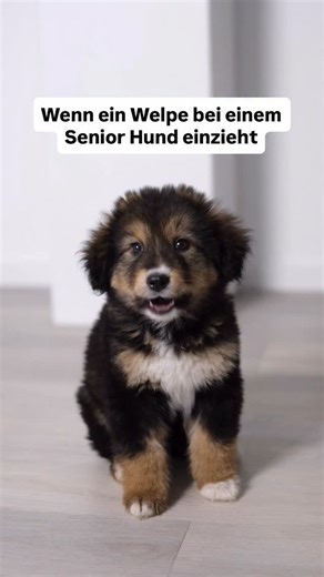 Michael Perdacher on Instagram: "Genau so war es bei Bruno & Barney 😂 Kennt das noch wer?"