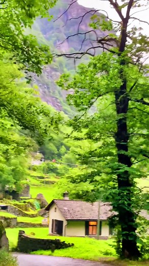 Marco Marques on TikTok