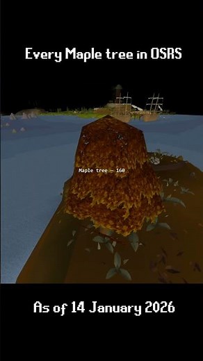 Every Maple tree in OSRS as of 14th January 2026