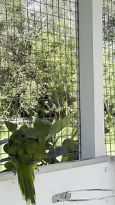 6.9K views · 2K reactions |  Apparently the Quaker Convention...