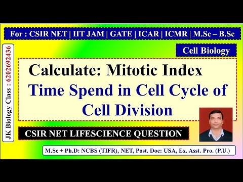 Mitotic Index | Calculate Time spend in Cell Cycle at specific stage of cell division | CSIR NET