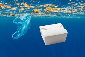 The truth about the environmental impact of takeout food