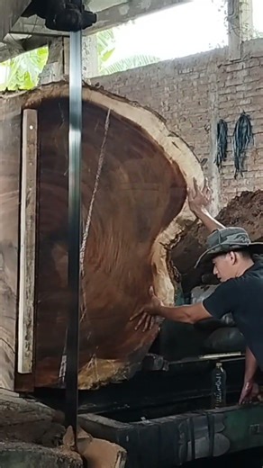Super Big Wood Split! A Giant Log Opens Like Never Before