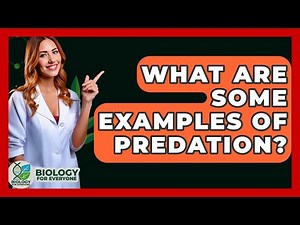 What Are Some Examples Of Predation? - Biology For Everyone