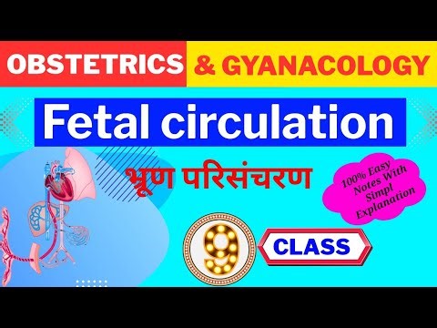 Fetal Circulation in Hindi | Embryology | Fetal Circulation