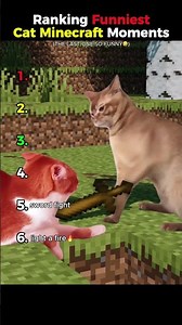 Ranking Funniest Cat Minecraft Moments #cat #funny