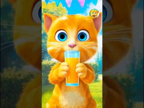 Talking Ginger Funny Videos 🤣🤣🤓 | talking tom | talking ginger | funny cat |