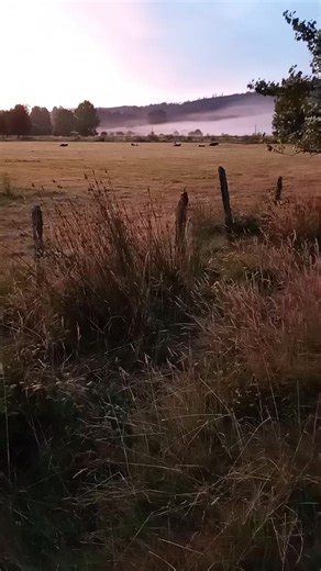 Videos de Rejinoaravena Rubilar (@segundoaravenar) con “Puesta de sol - Thaison Chancla”