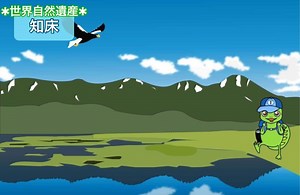 【知床半島 | 独特な食物連鎖】世界遺産登録理由＆生態系をわかりやすく解説！