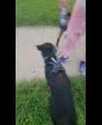 12 reactions · 13 comments | Do anyone on my friends list have a...