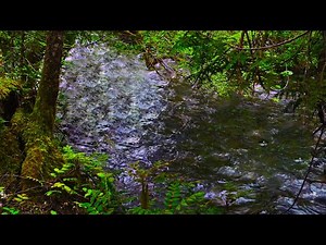Relaxing River for Stress Relief & Sleep | 10-Hour Water Sounds
