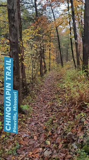 2.2K views · 75 reactions | Chinquapin Trail - Pineville, Missouri #fall #autumn #mo #outdoors #adventuretravel #McDonaldCounty #PinevilleMo #travel #dirtroads #Ozarks #Missouri | Joplin Outdoors | Facebook