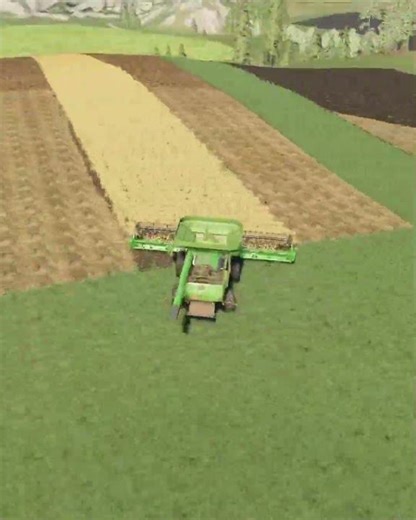 Harveste field's in fs19 | #fs19 #fs25 #farming #satisfying #cattlefarm