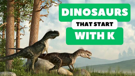 37 Dinosaurs That Start With K