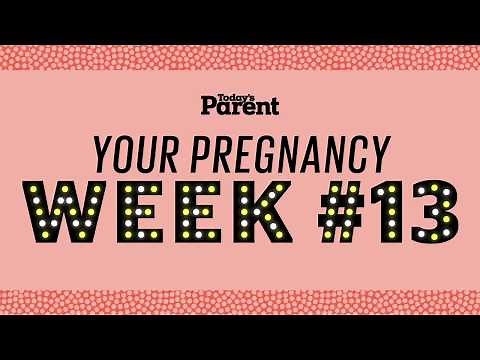 Your pregnancy: 13 weeks