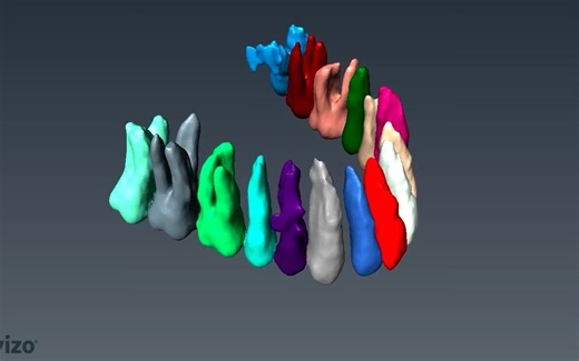 42. Amazing tooth segmentation video from FEI’s 3D visualization solution (Avizo