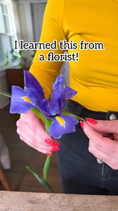 330K views · 1.9K reactions | 朗 If you need to get your Irises open for an arrangement give it a few taps on a hard service, gently peel back the spathe or outer leaves and the beautiful bloom will open! #flowers #irises #florist #floraldesign #tipsandtricks | Jeff & Lauren | Facebook