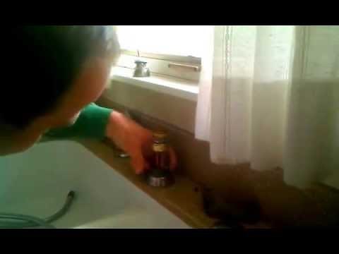 Kitchen faucet repair- Delta Pullout spray #1