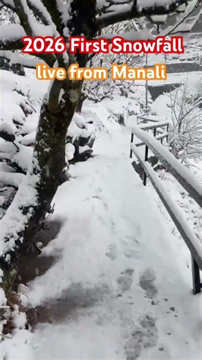 Manali Live Snowfall today #snowfall #sissuvalley #ataltunnel #travel #manali #shorts #mallroad