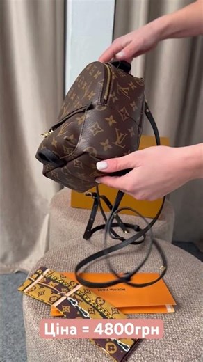 Louis Vuitton Palm Springs Mini Backpack Monogram Canvas