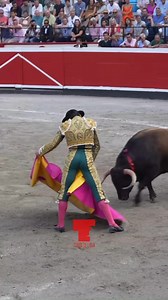 ¡Aprende a torear con toros de lidia! En este episodio Francisco Javier Peral "Librillo" de la escuela de Navas nos enseña la Verónica. #tauromaquia #torosbravos🐂 #somosafición #somostauromaquia #torosdelidia | Toros de Lidia