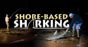 Shore-Based Sharking - On The Water