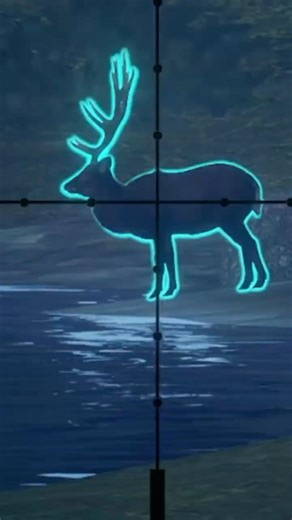 DON’T Be a TROLL… 😳 Sika Deer