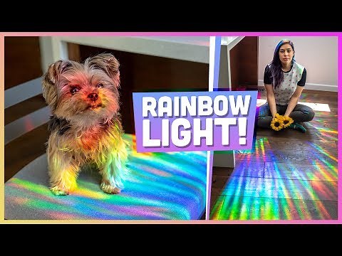 How to Make a Rainbow Room - DIY