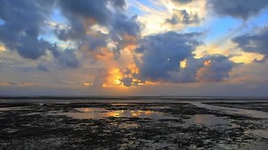 国家地理（National Geographic）宣传短片