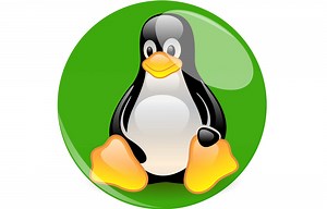 Características de Linux más importantes (listado) - VidaBytes