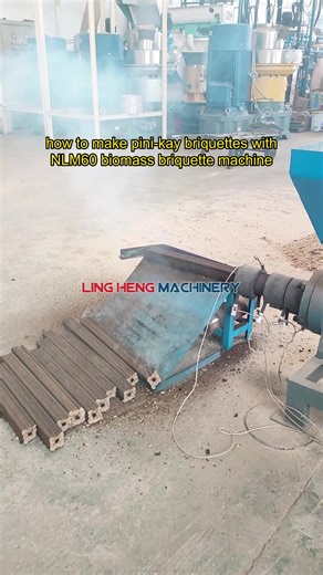 how to make #pinikaybriquette with NLM60 #sawdustbriquette #biomassbriquettemachine #charcoalmachine #charcoalbriquettemachine #sawdust #peanutshell #ricehusk #cocountshell #hexagonalcharcoal #pinikaybriquette #sawdustbriquettemachine #fyp #cooking #fuel #barbecue #lingheng #linghengmachinery #linghenggroup