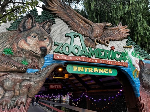 Court documents detail ‘wolf attack’ that injured child at Hershey’s ZooAmerica