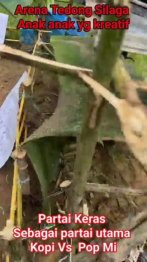 255K views · 3.3K reactions | Silaga tedong, konseptornya menguasai arena kpts | Alharis Tandilinggi' | Facebook