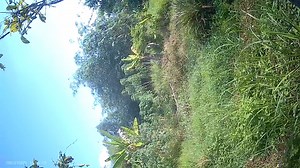 gf (27) | Lan Anh Video