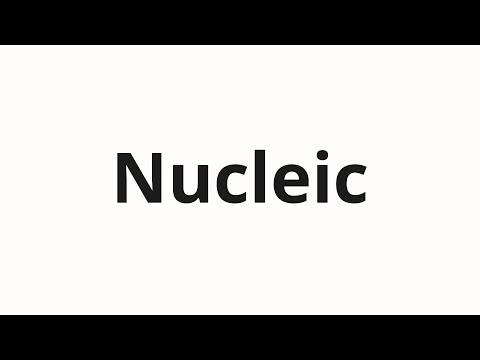 How to pronounce Nucleic