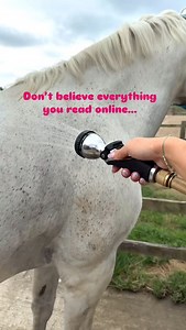 26 reactions | It’s a total myth that you should scrape off excess water in hot weather. Drenching your horse in cold water and reapplying is actually one of the most effective ways to keep them cool 流 Skip the scraping, just hose (using a Hippo Hose of course), reapply, and let the water do the work!  | Hippo Horse Showers | Facebook