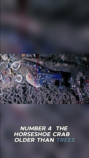 5 Prehistoric Animals Still Alive Today