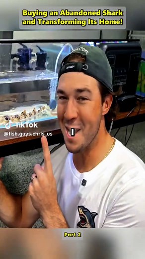 Buying an Abandoned Shark and Transforming Its Home! Pt2 #thefishguys #fish #tank #fishing #Vlog