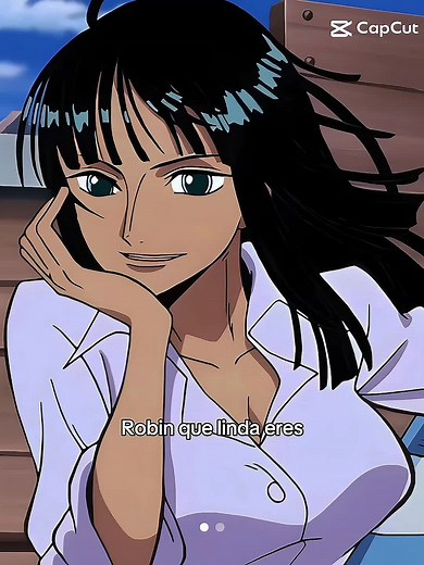 Discover Nico Robin's Alibi and Adventure in One Piece