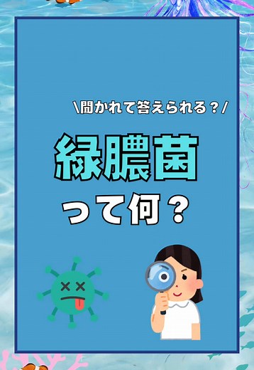 緑膿菌の基礎知識｜看護師のための感染予防